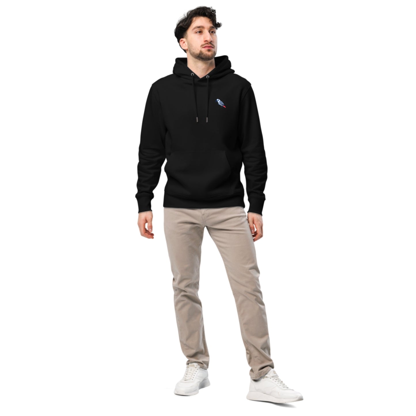 Intelligence Hoodie - African Grey Parrot